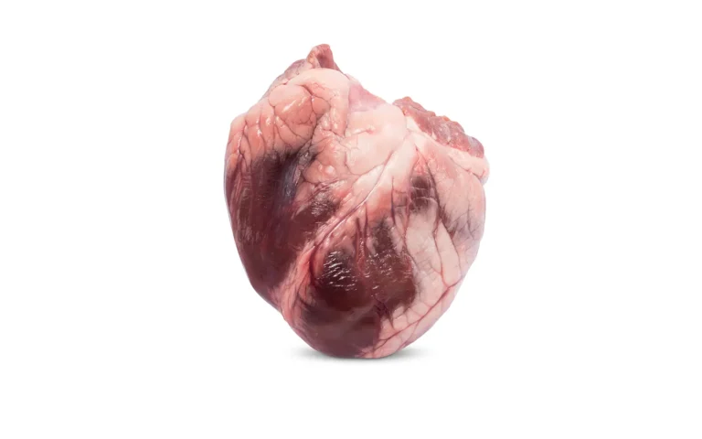 Lamshart van Boerderij het Veldhuis uit Wilnis — vol van smaak, vlees met karakter.