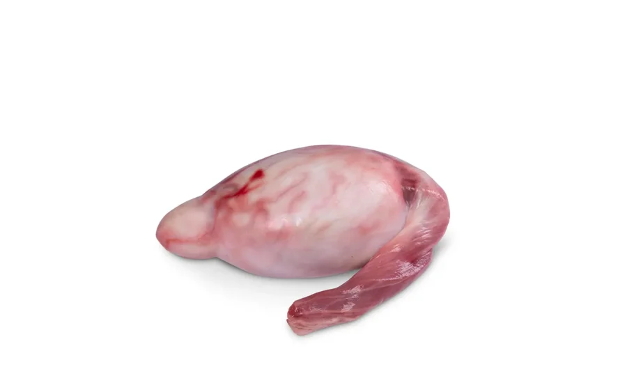 Lamstestikel van Boerderij het Veldhuis uit het Groene Hart — zachte, romige structuur.