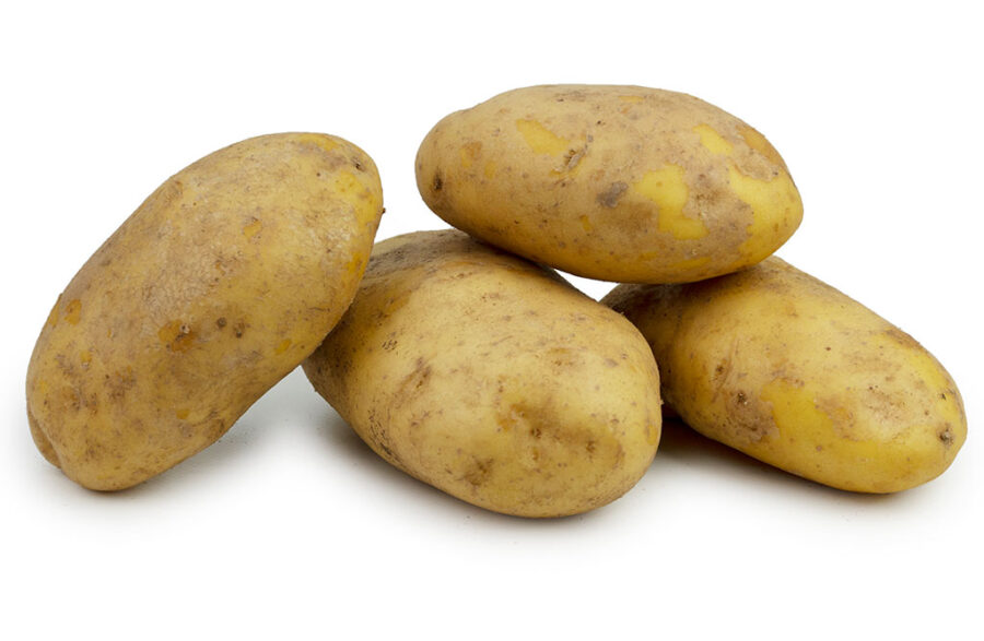 Agria Friet Aardappel