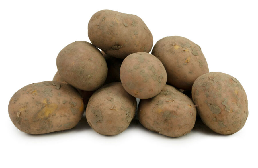 Biologische Menopper Aardappelen