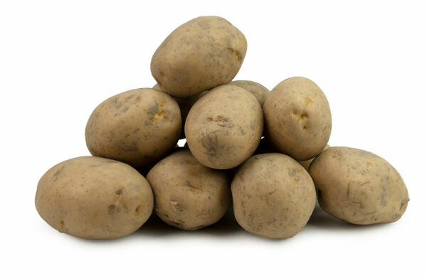 Biologische Solist Aardappelen