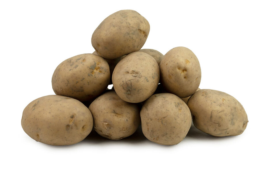 Biologische Solist Aardappelen