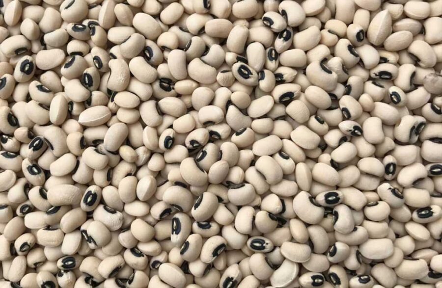 Black Eyed Beans