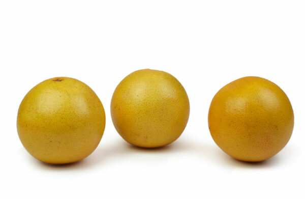 Grapefruit