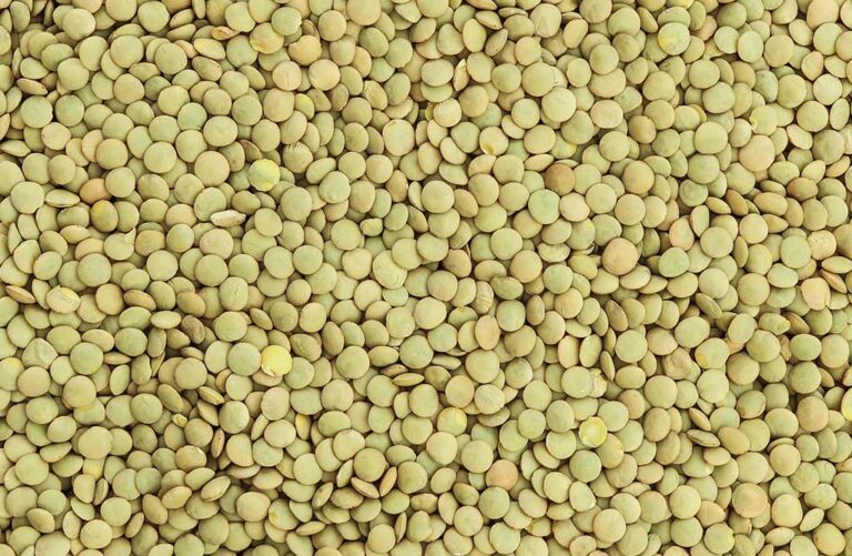 Groene linzen