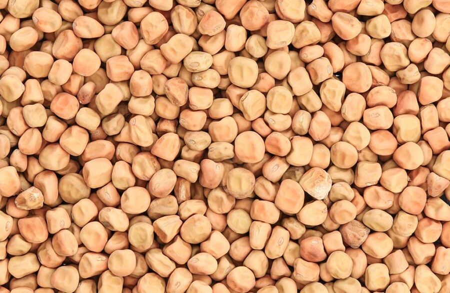 Gedroogde Kapucijners