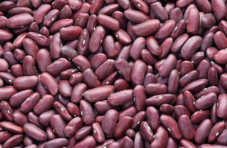 Rode Bonen