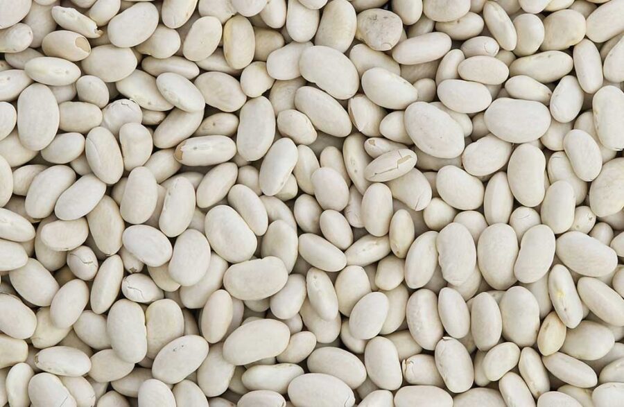 Witte Bonen